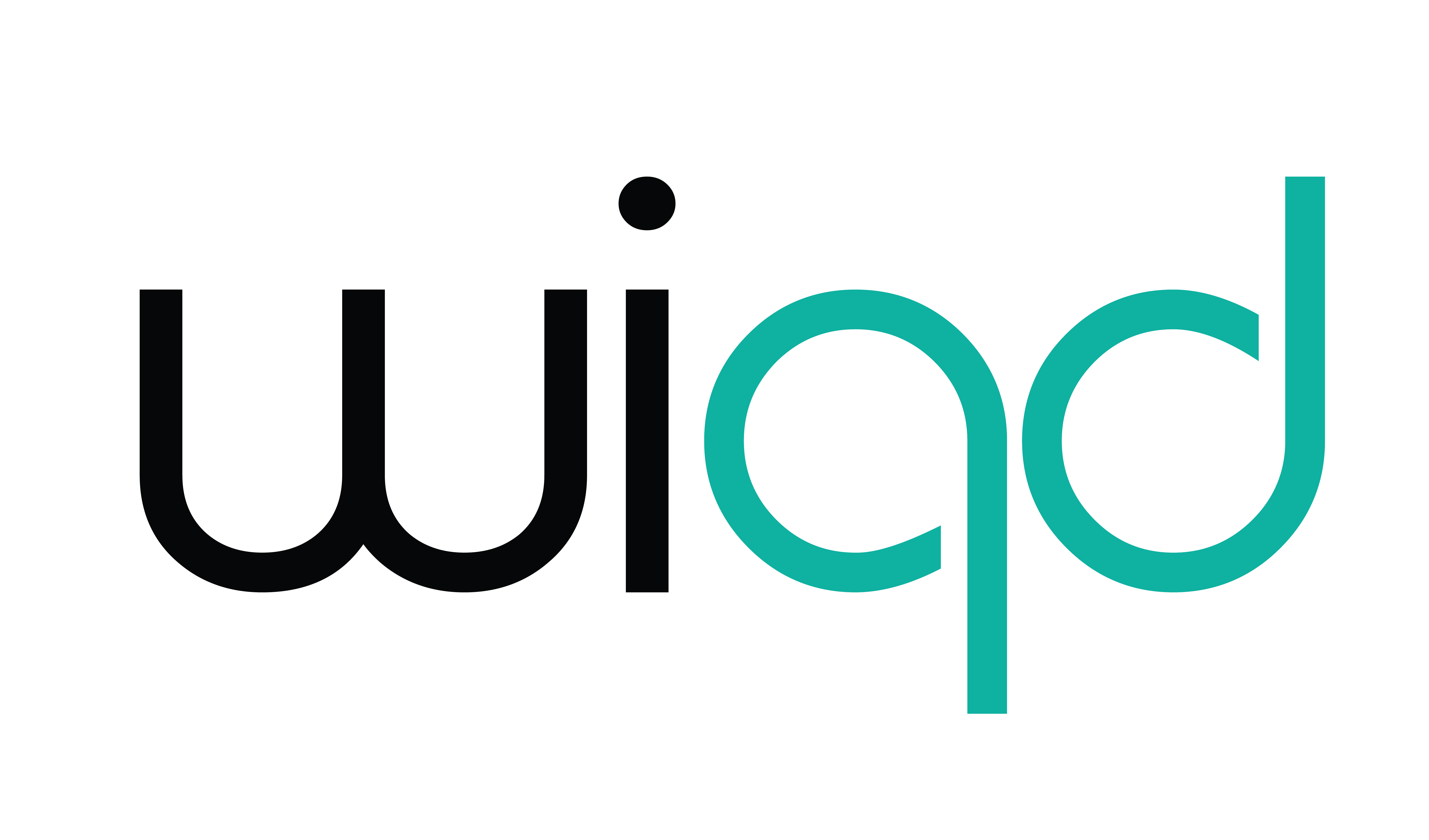 WIQ'D Solutions logo